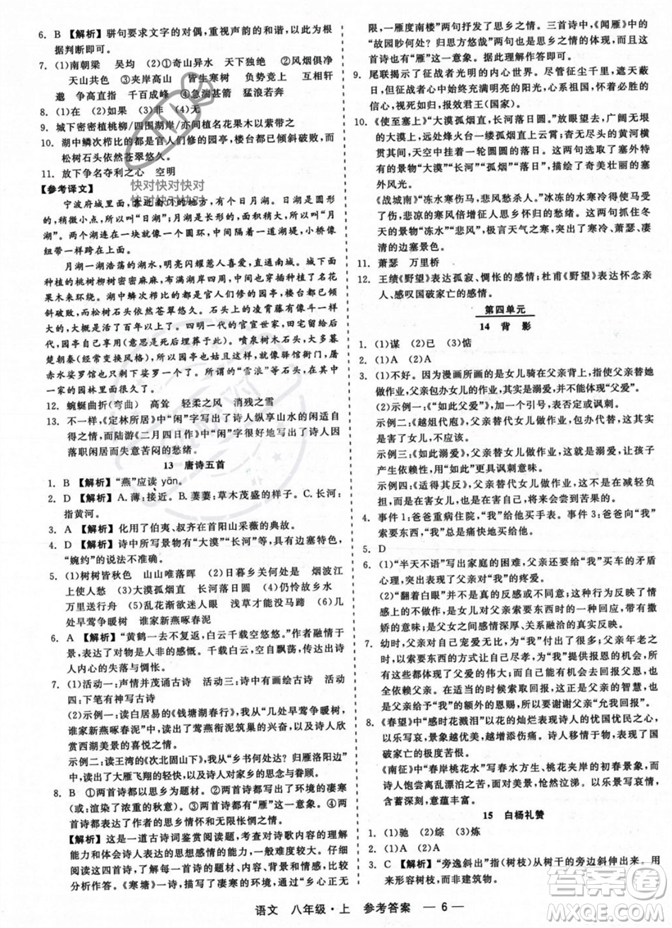 浙江工商大學(xué)出版社2023年秋精彩練習(xí)就練這一本八年級(jí)語(yǔ)文上冊(cè)通用版答案
