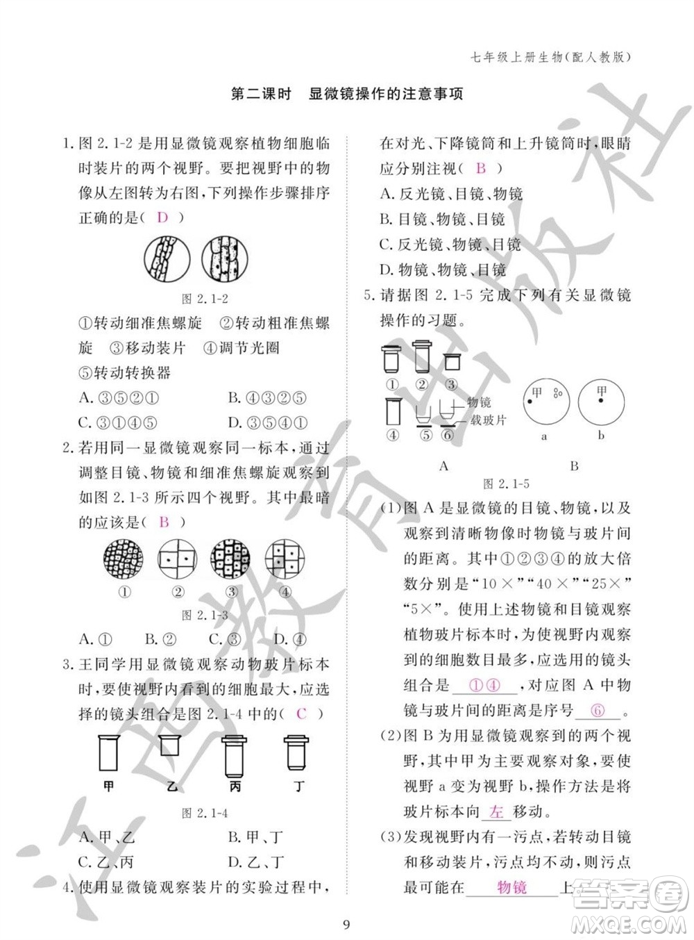 江西教育出版社2023年秋生物作業(yè)本七年級上冊人教版參考答案