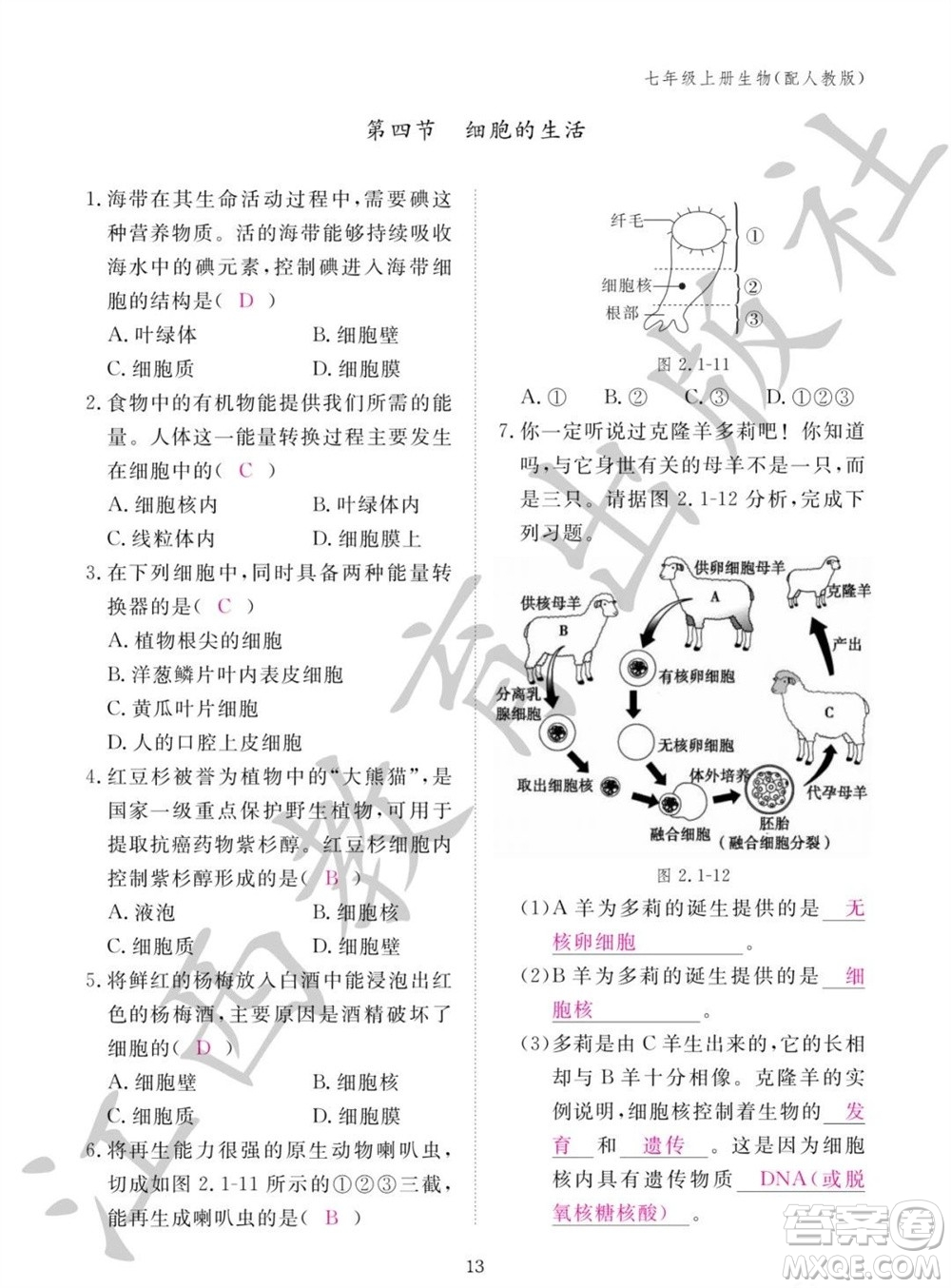 江西教育出版社2023年秋生物作業(yè)本七年級上冊人教版參考答案