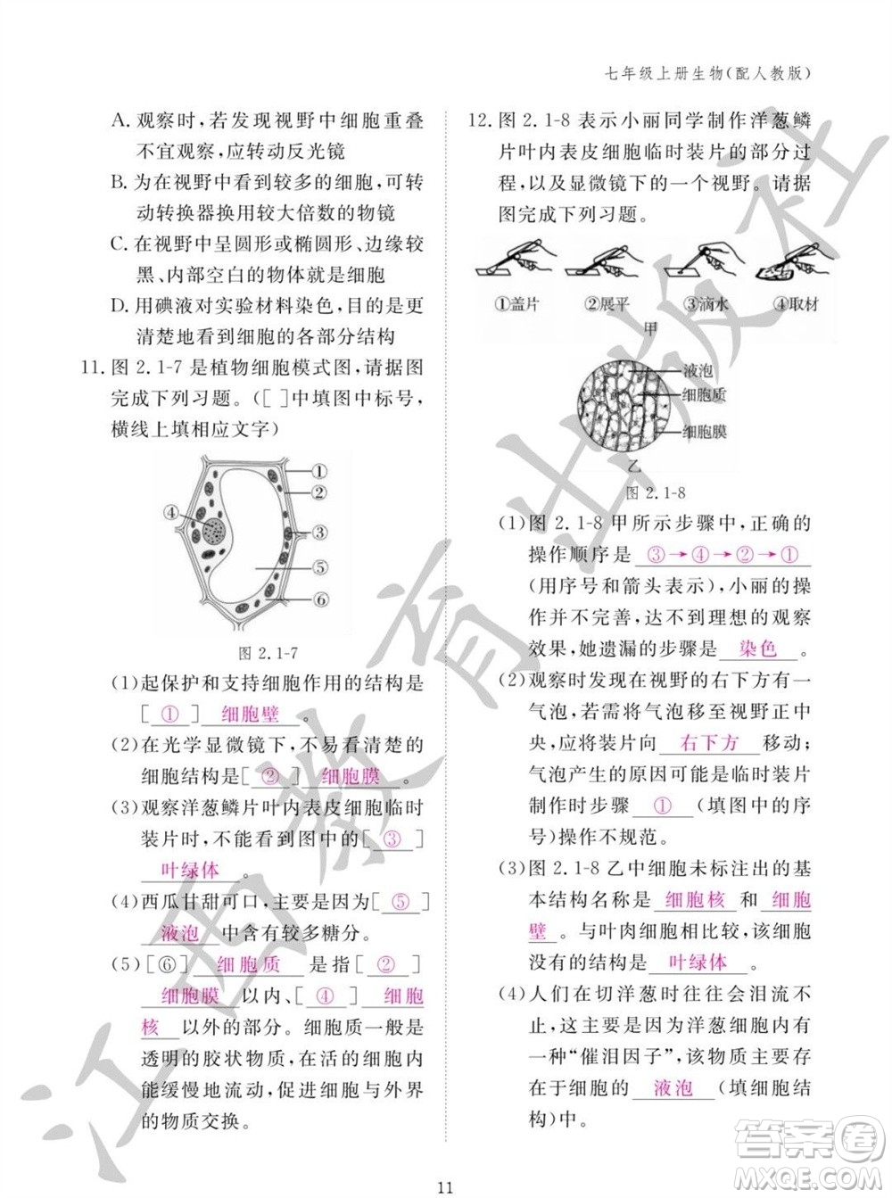江西教育出版社2023年秋生物作業(yè)本七年級上冊人教版參考答案