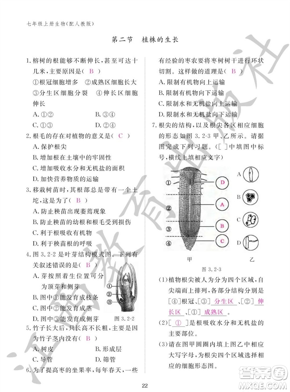 江西教育出版社2023年秋生物作業(yè)本七年級上冊人教版參考答案
