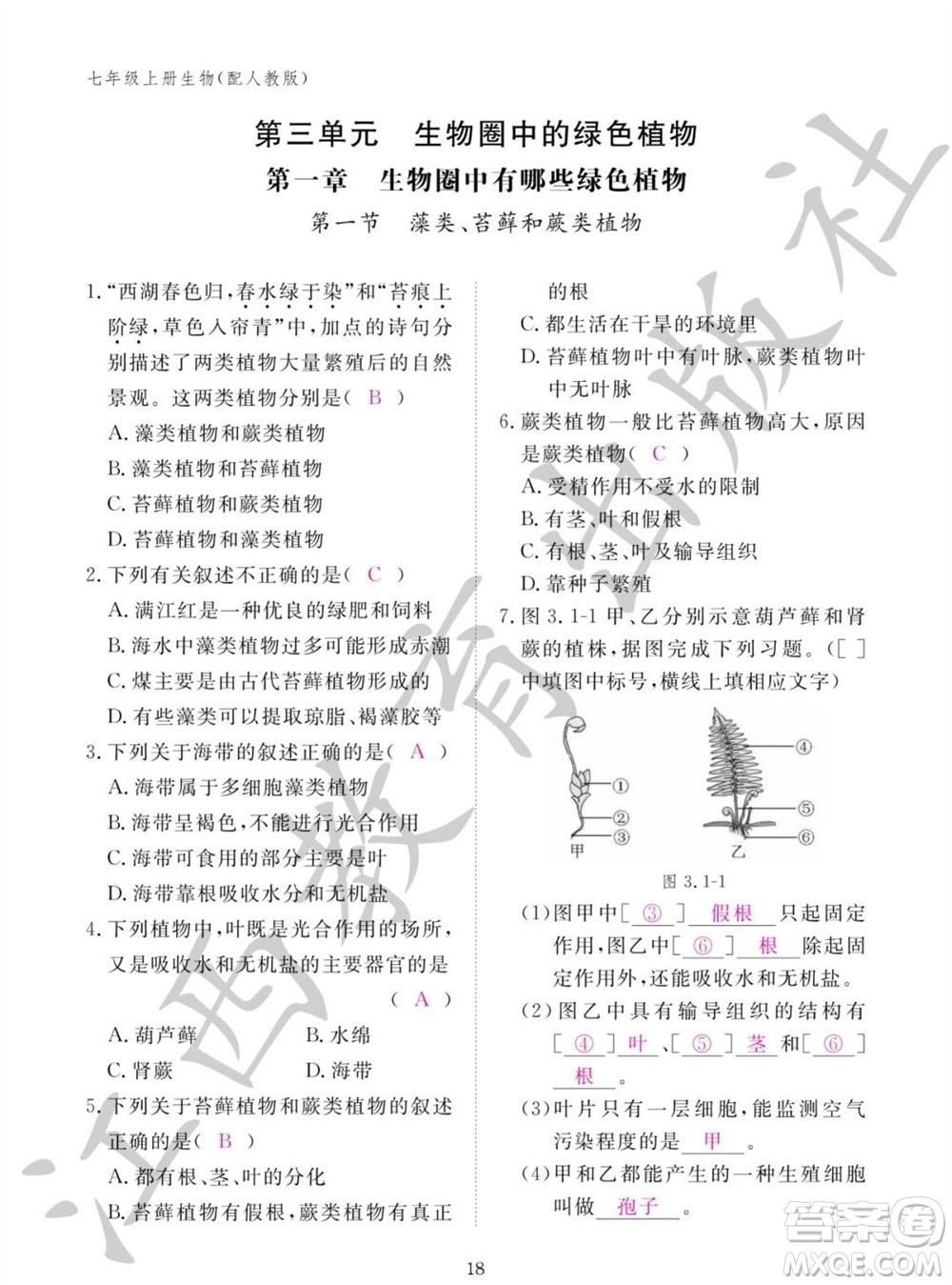 江西教育出版社2023年秋生物作業(yè)本七年級上冊人教版參考答案