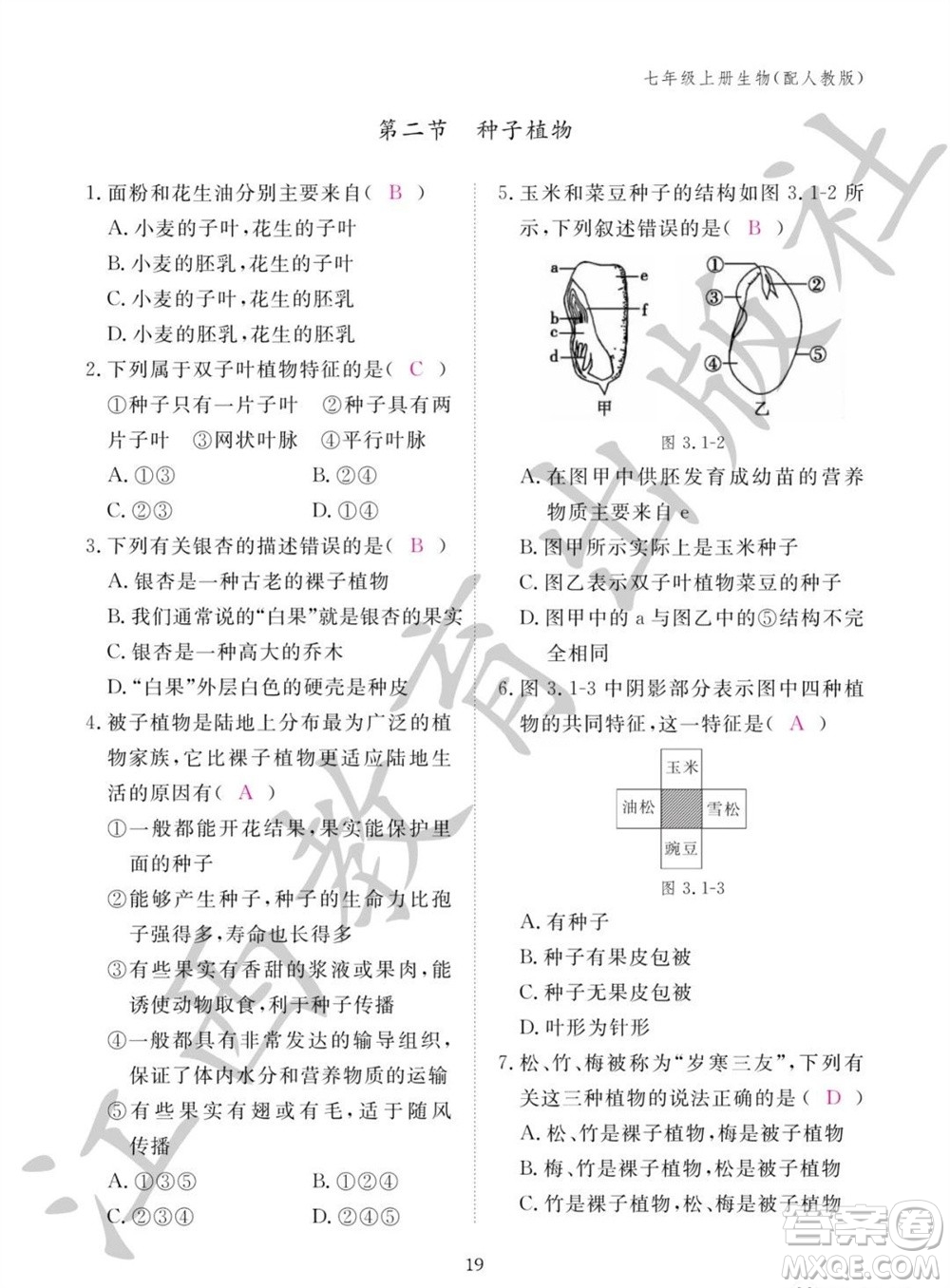 江西教育出版社2023年秋生物作業(yè)本七年級上冊人教版參考答案