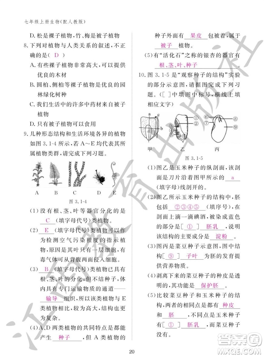 江西教育出版社2023年秋生物作業(yè)本七年級上冊人教版參考答案
