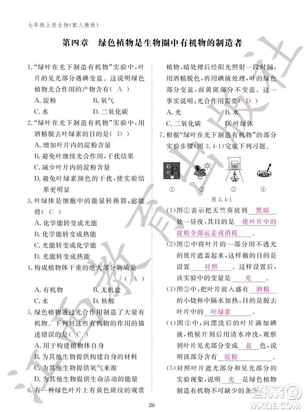 江西教育出版社2023年秋生物作業(yè)本七年級上冊人教版參考答案