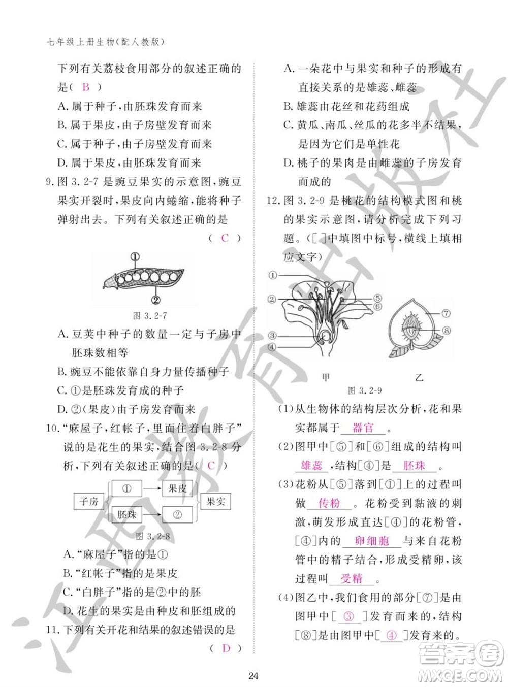 江西教育出版社2023年秋生物作業(yè)本七年級上冊人教版參考答案