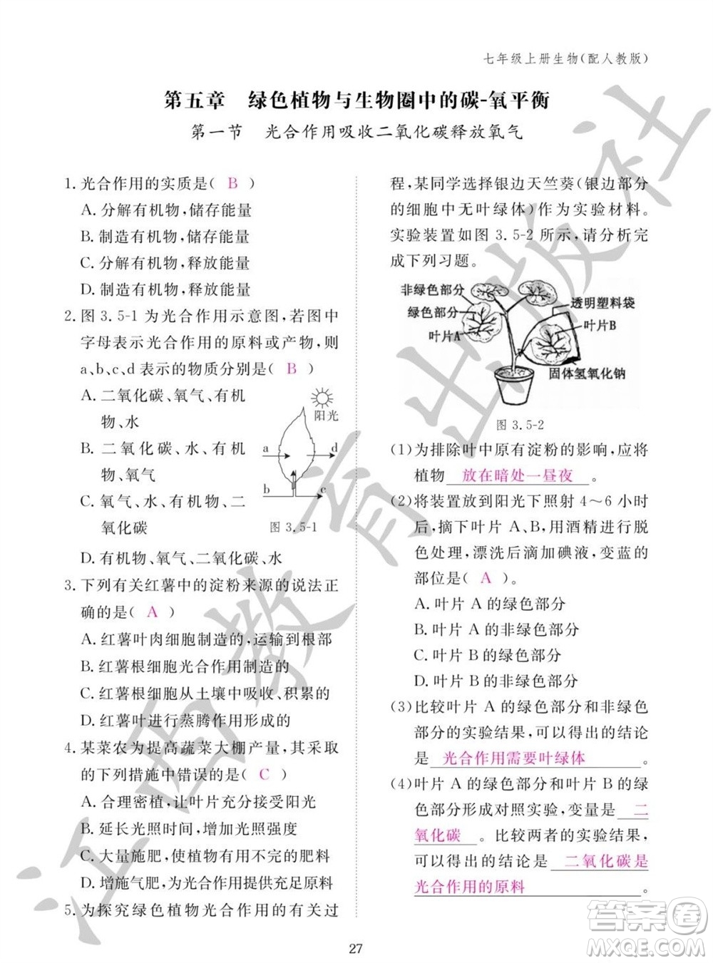 江西教育出版社2023年秋生物作業(yè)本七年級上冊人教版參考答案