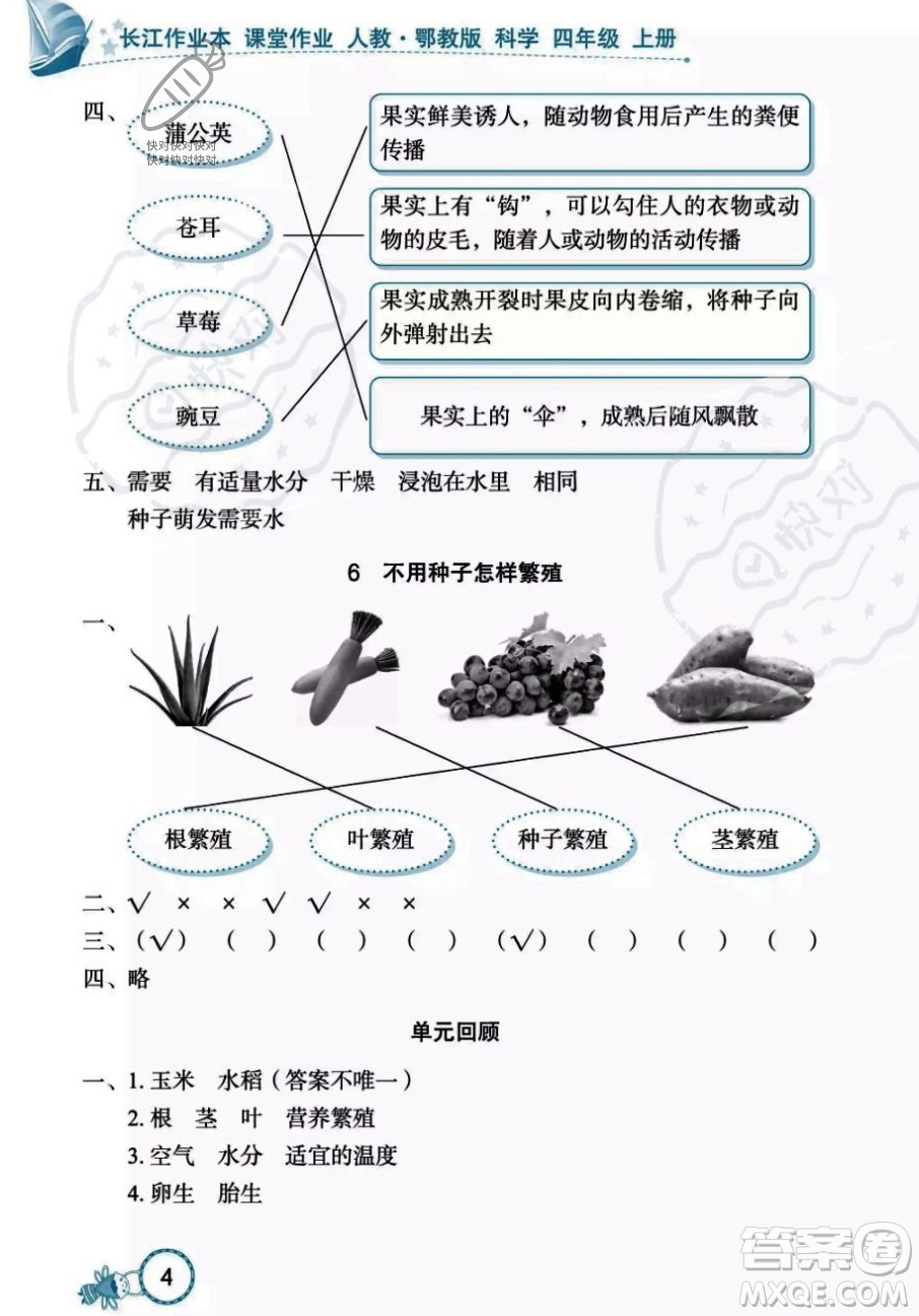 湖北教育出版社2023年秋長江作業(yè)本課堂作業(yè)四年級科學上冊人教鄂教版答案