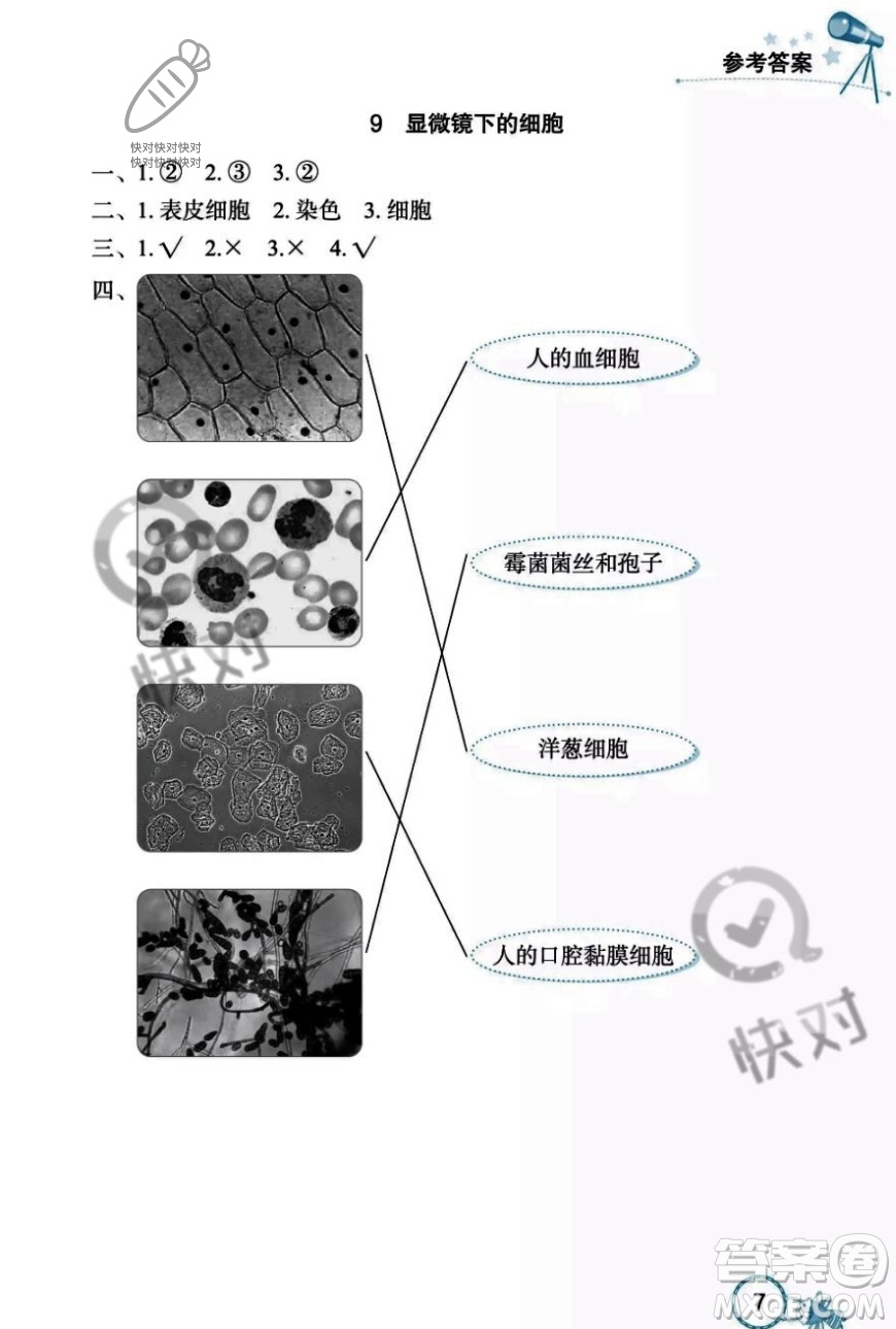 湖北教育出版社2023年秋長江作業(yè)本課堂作業(yè)五年級科學上冊人教鄂教版答案