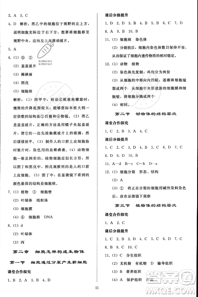 人民教育出版社2023年秋同步輕松練習(xí)七年級生物學(xué)上冊人教版答案