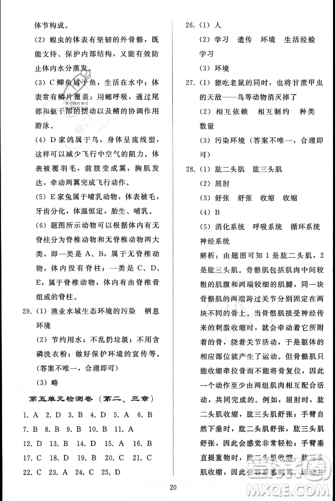 人民教育出版社2023年秋同步輕松練習(xí)八年級(jí)生物學(xué)上冊(cè)人教版答案
