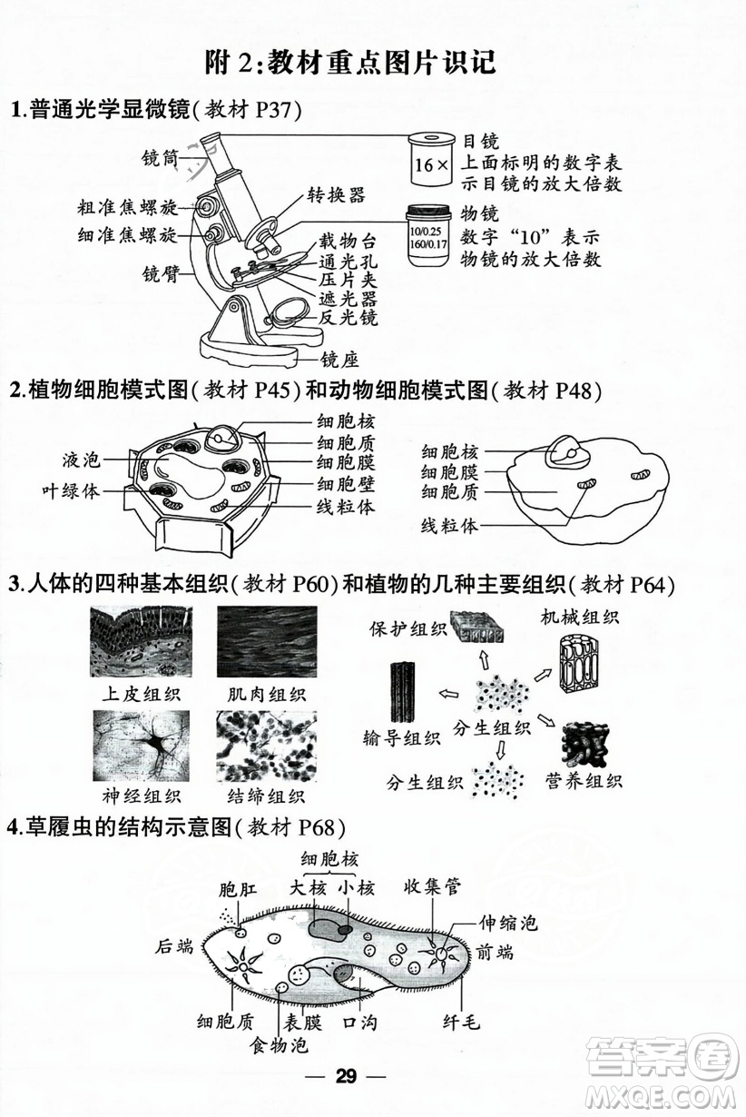 吉林教育出版社2023年秋狀元成才路創(chuàng)優(yōu)作業(yè)七年級(jí)生物上冊(cè)人教版答案