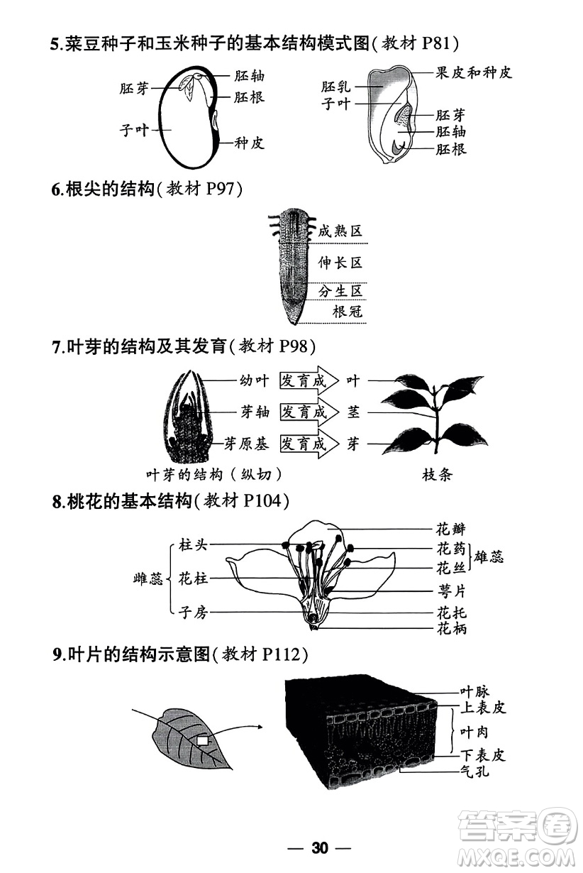 吉林教育出版社2023年秋狀元成才路創(chuàng)優(yōu)作業(yè)七年級(jí)生物上冊(cè)人教版答案