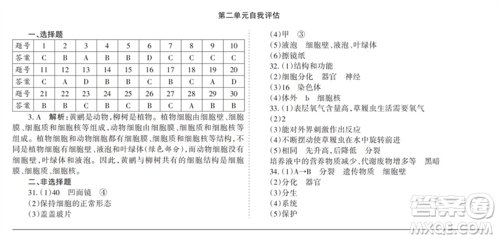 學(xué)習(xí)方法報2023-2024學(xué)年七年級生物上冊人教廣東版①-③期小報參考答案
