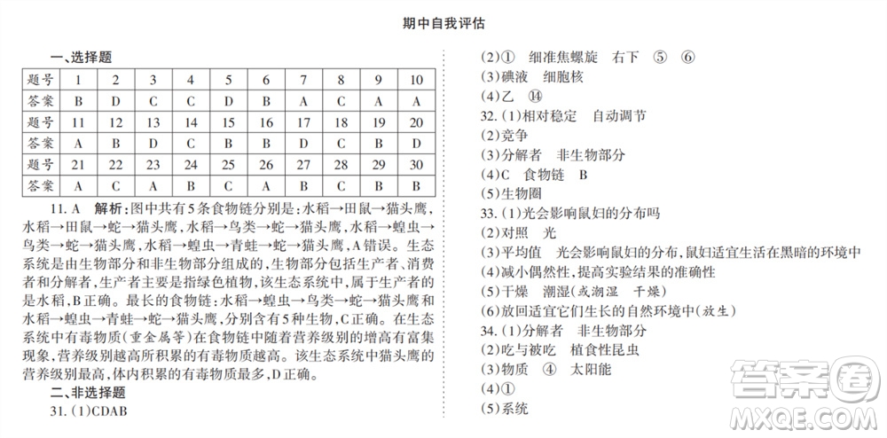 學(xué)習(xí)方法報2023-2024學(xué)年七年級生物上冊人教廣東版①-③期小報參考答案