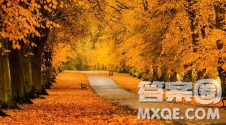 寫入秋時候的寫景作文600字 關于寫入秋時候的寫景作文600字