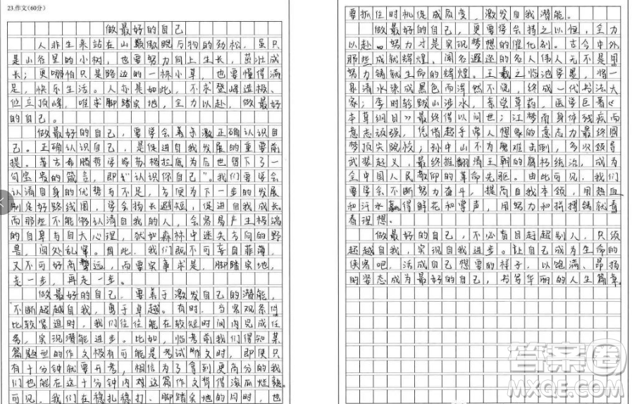 如果你當(dāng)不成山巔的一棵勁松材料作文800字