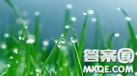 歷練讓我成長(zhǎng)為題作文600字 關(guān)于歷練讓我成長(zhǎng)為題目的作文600字