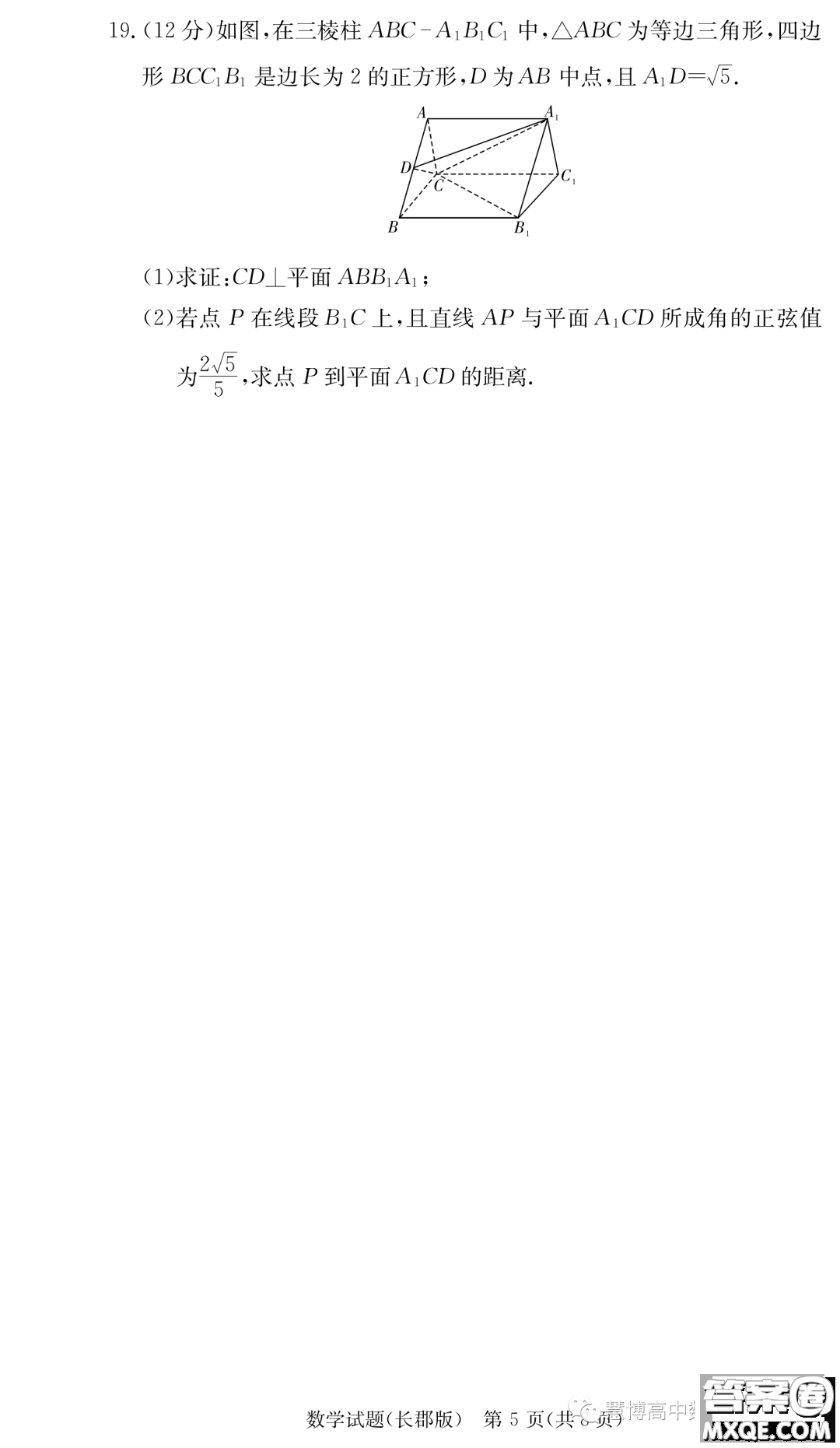長郡中學(xué)2024屆高三上學(xué)期月考二數(shù)學(xué)試卷答案
