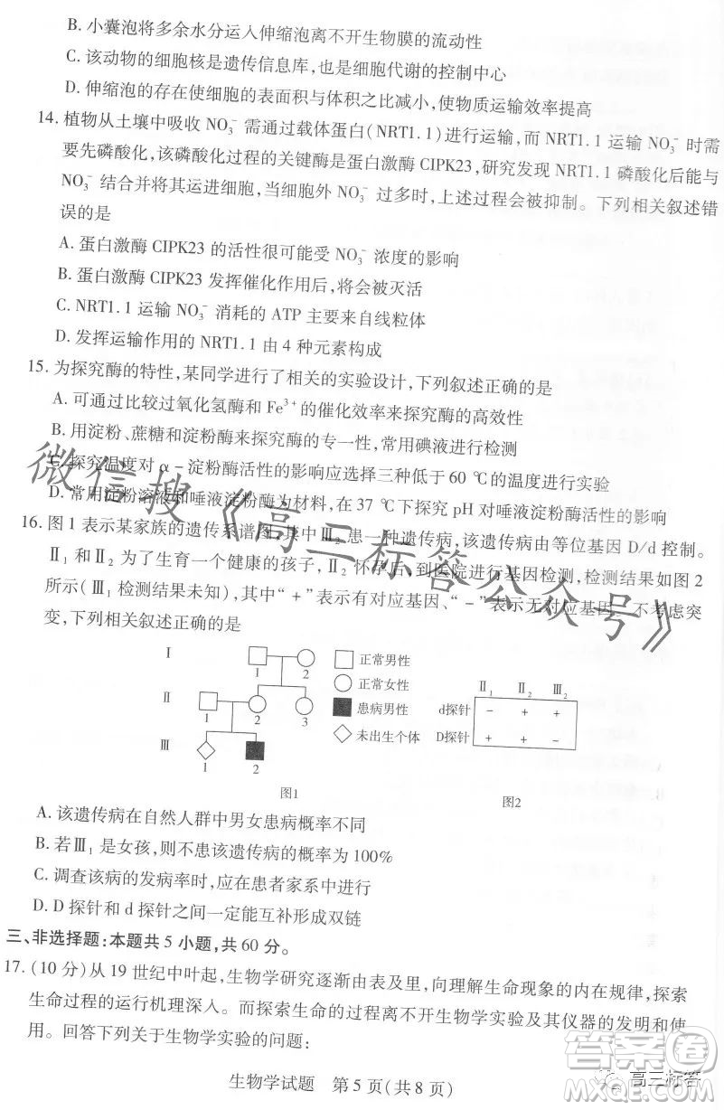 皖豫名校聯(lián)盟2024屆高中畢業(yè)班第一次考試生物學(xué)試卷答案