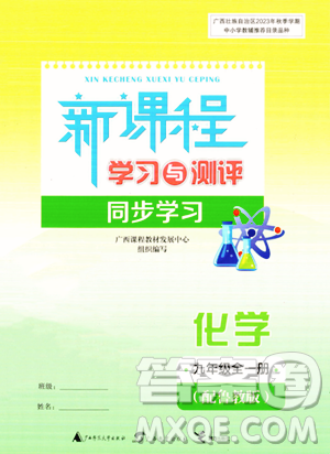 廣西教育出版社2023年秋新課程學習與測評同步學習九年級化學全一冊魯教版答案