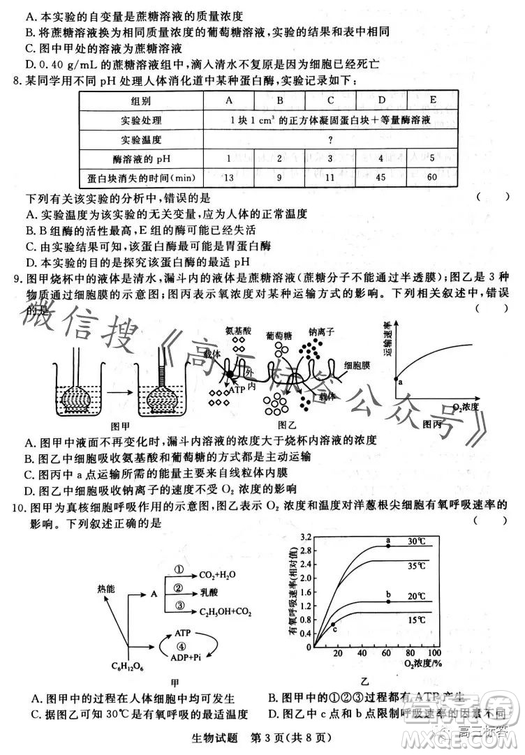 2024屆普通高等學(xué)校招生全國統(tǒng)一考試青桐鳴高三10月大聯(lián)考生物試卷答案