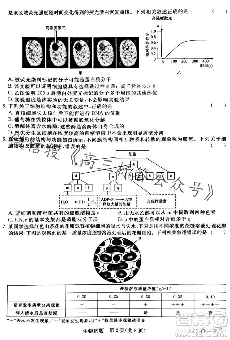 2024屆普通高等學(xué)校招生全國統(tǒng)一考試青桐鳴高三10月大聯(lián)考生物試卷答案