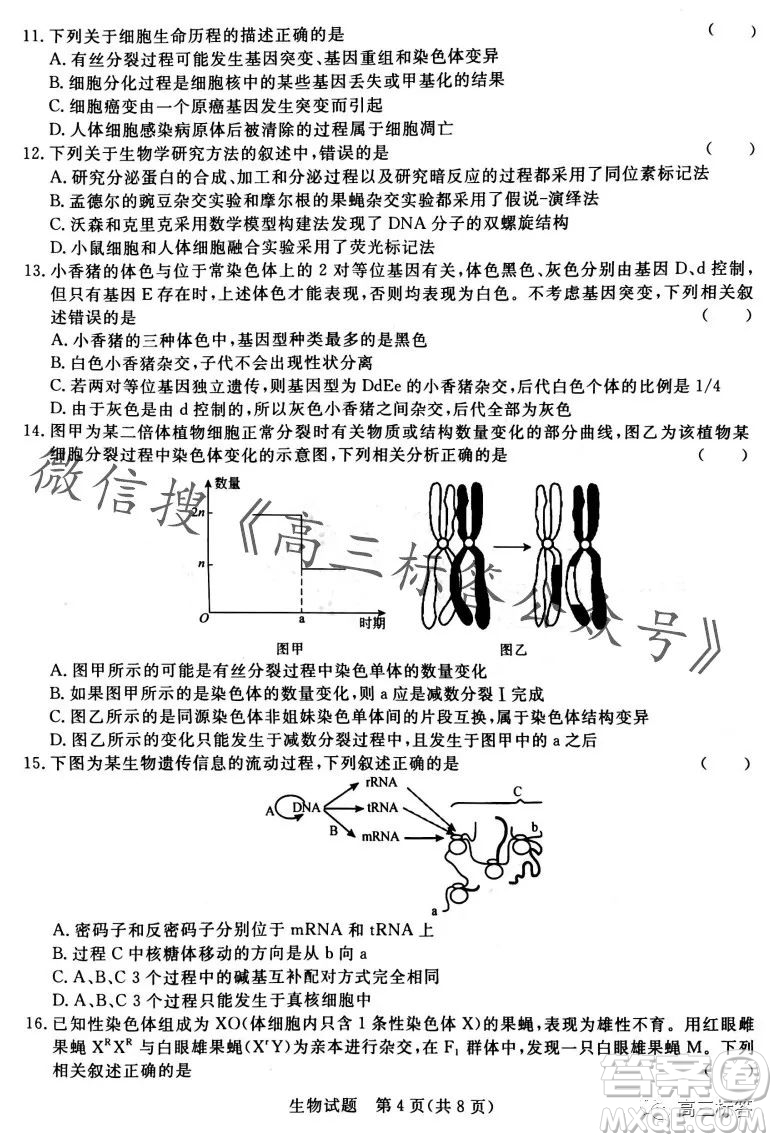 2024屆普通高等學(xué)校招生全國統(tǒng)一考試青桐鳴高三10月大聯(lián)考生物試卷答案