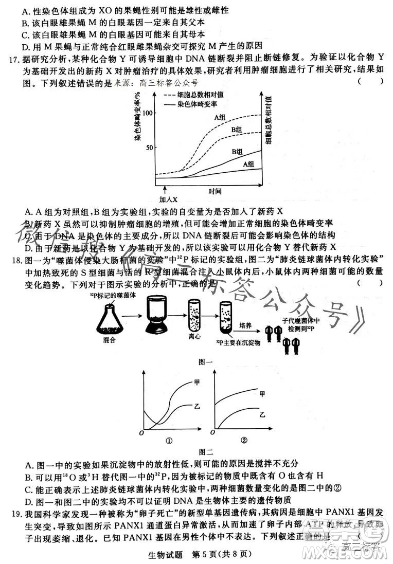 2024屆普通高等學(xué)校招生全國統(tǒng)一考試青桐鳴高三10月大聯(lián)考生物試卷答案