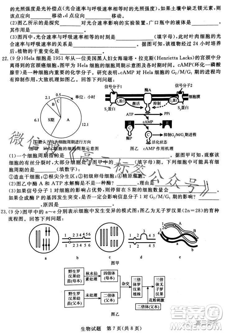 2024屆普通高等學(xué)校招生全國統(tǒng)一考試青桐鳴高三10月大聯(lián)考生物試卷答案
