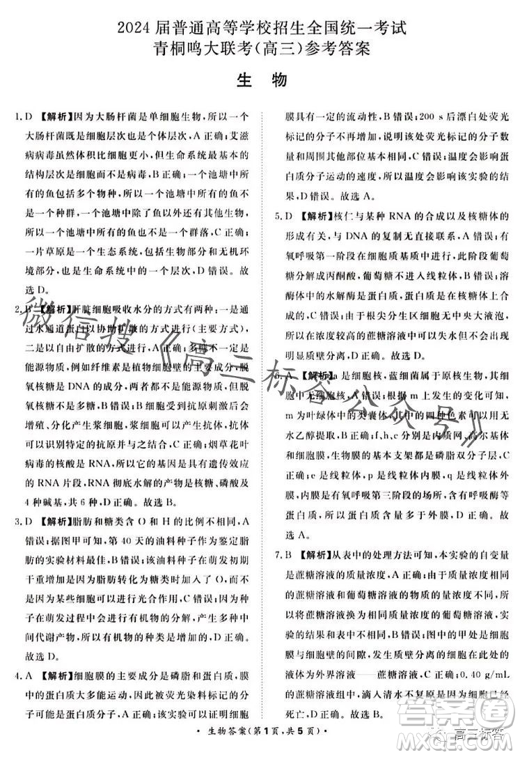 2024屆普通高等學(xué)校招生全國統(tǒng)一考試青桐鳴高三10月大聯(lián)考生物試卷答案