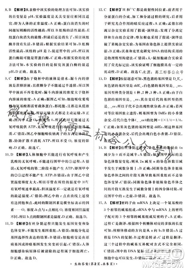 2024屆普通高等學(xué)校招生全國統(tǒng)一考試青桐鳴高三10月大聯(lián)考生物試卷答案