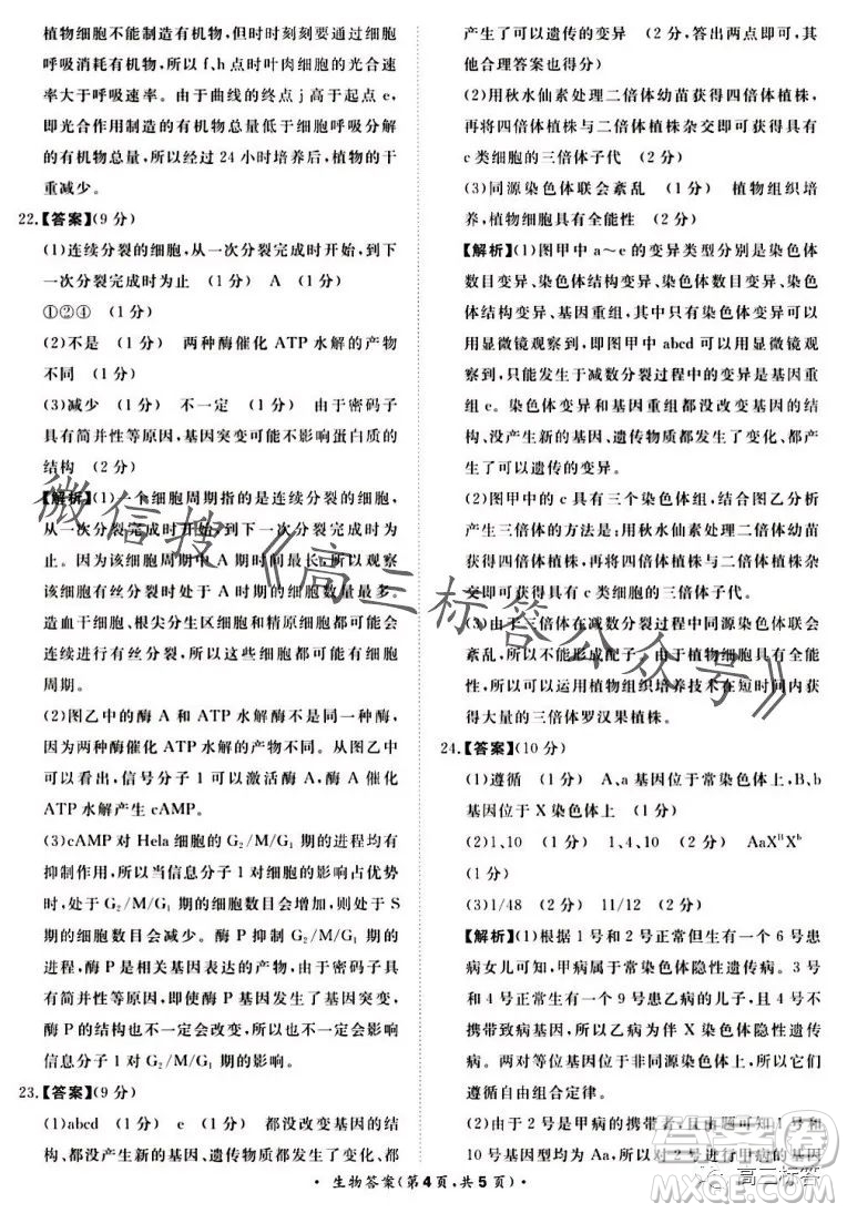 2024屆普通高等學(xué)校招生全國統(tǒng)一考試青桐鳴高三10月大聯(lián)考生物試卷答案