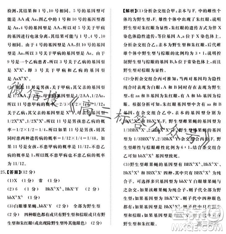 2024屆普通高等學(xué)校招生全國統(tǒng)一考試青桐鳴高三10月大聯(lián)考生物試卷答案