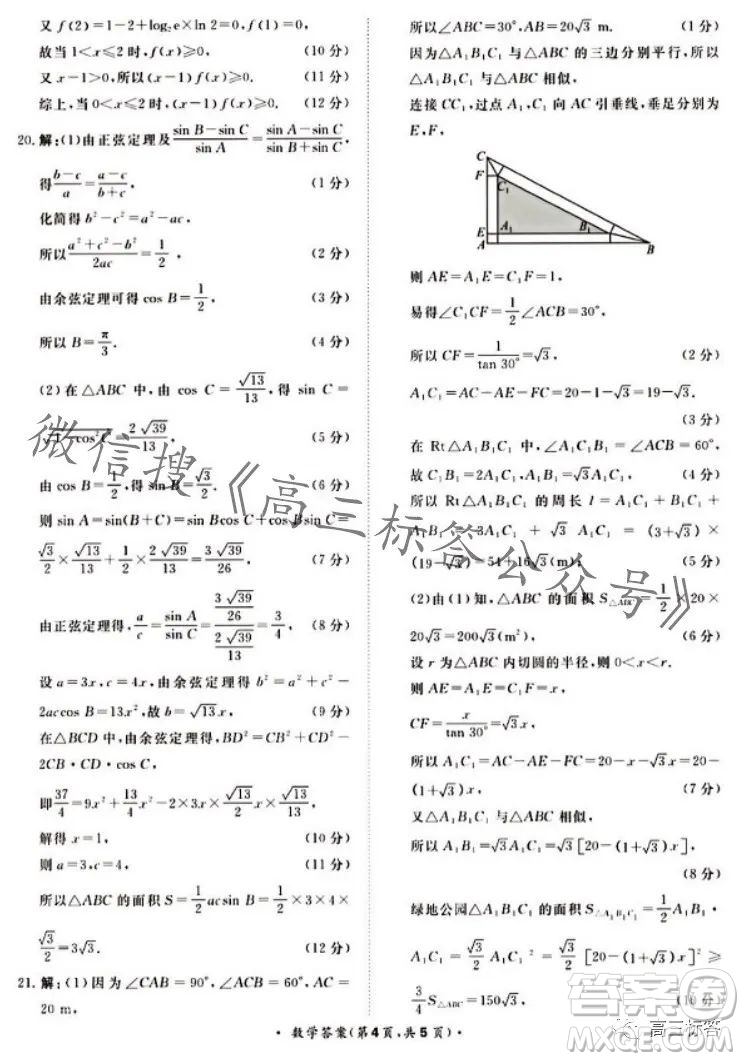 2024屆普通高等學(xué)校招生全國(guó)統(tǒng)一考試青桐鳴高三10月大聯(lián)考數(shù)學(xué)試卷答案