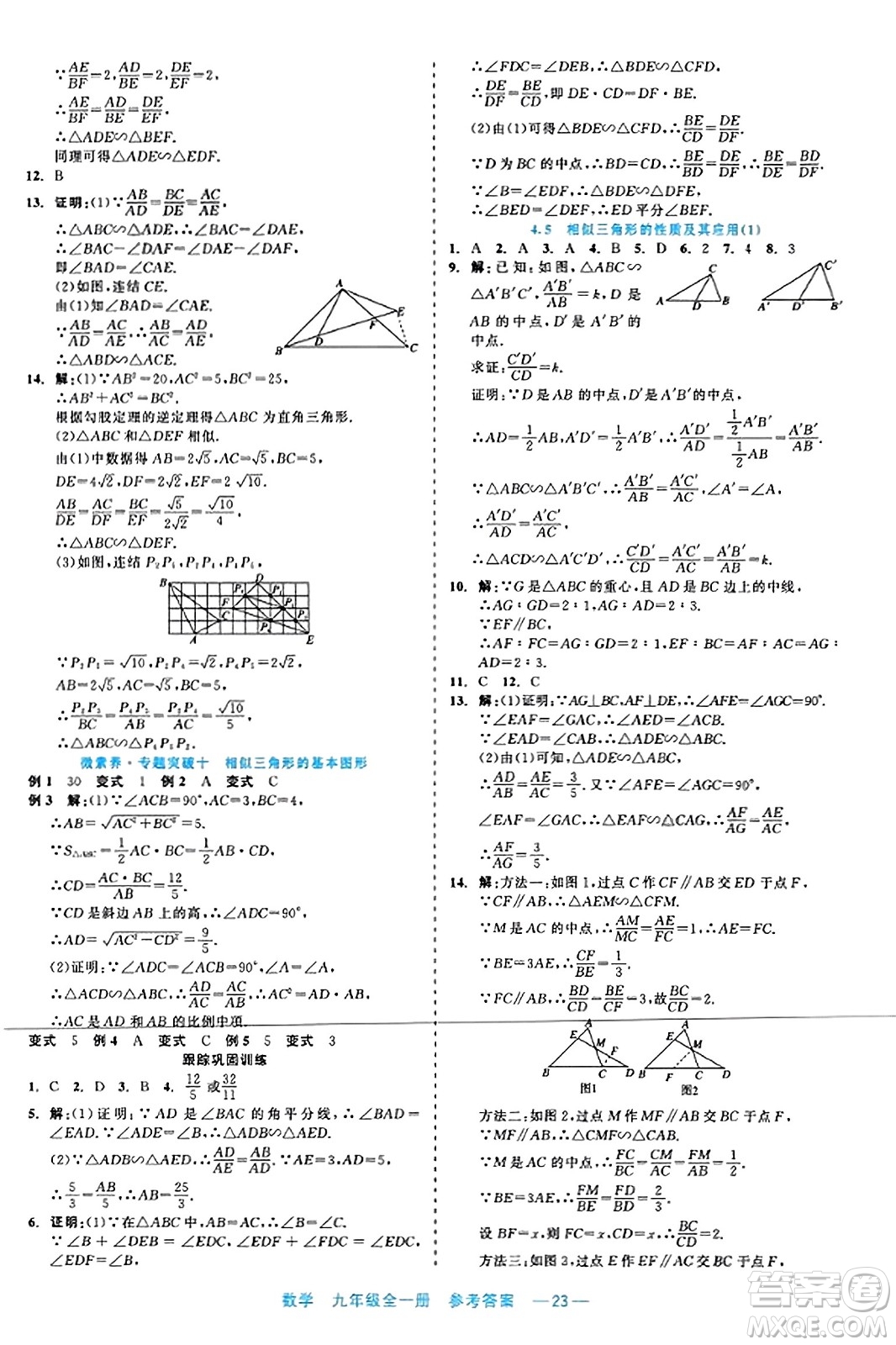 浙江工商大學(xué)出版社2023年秋精彩練習(xí)就練這一本九年級(jí)數(shù)學(xué)全一冊(cè)通用版答案
