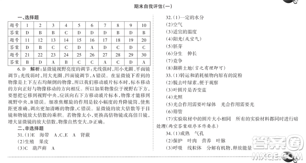 學(xué)習(xí)方法報2023-2024學(xué)年七年級生物上冊人教廣東版④-⑥期小報參考答案