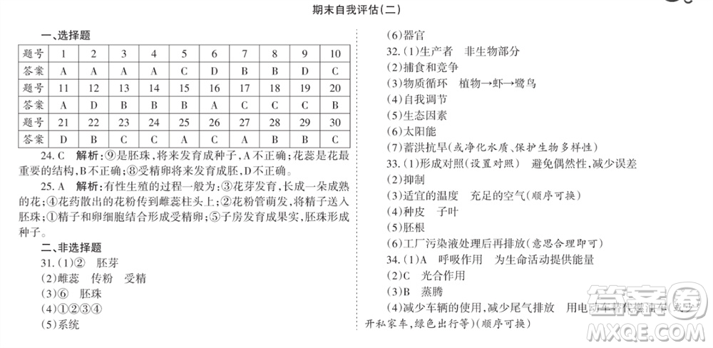 學(xué)習(xí)方法報2023-2024學(xué)年七年級生物上冊人教廣東版④-⑥期小報參考答案