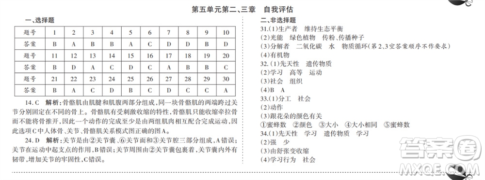 學習方法報2023-2024學年九年級生物人教初中會考廣東版①-④期小報參考答案