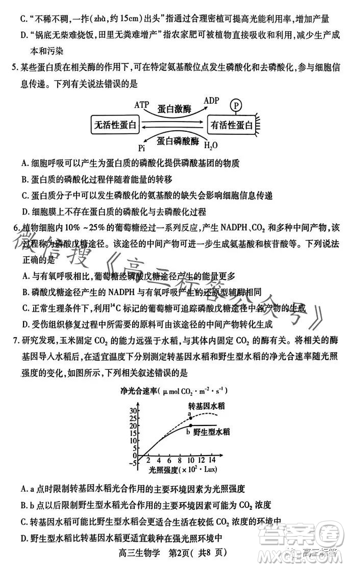 平許濟(jì)洛2023-2024學(xué)年高三第一次質(zhì)量檢測生物試卷答案