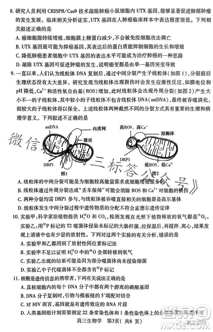 平許濟(jì)洛2023-2024學(xué)年高三第一次質(zhì)量檢測生物試卷答案
