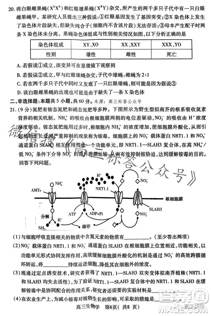 平許濟(jì)洛2023-2024學(xué)年高三第一次質(zhì)量檢測生物試卷答案