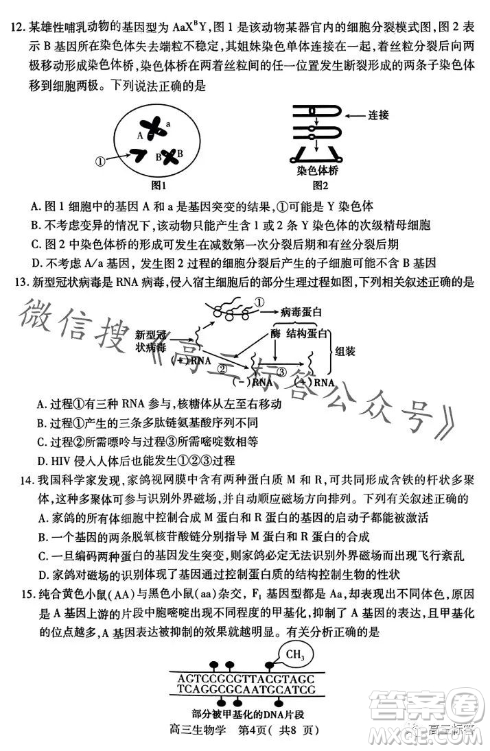 平許濟(jì)洛2023-2024學(xué)年高三第一次質(zhì)量檢測生物試卷答案