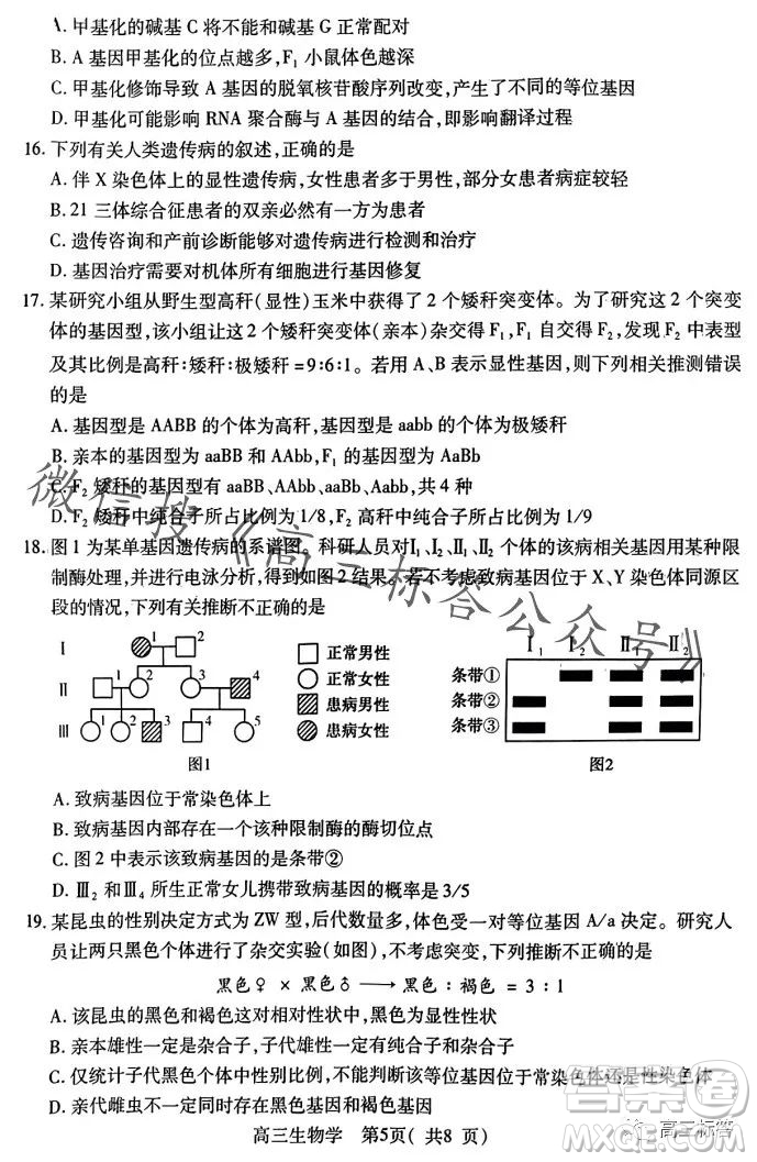 平許濟(jì)洛2023-2024學(xué)年高三第一次質(zhì)量檢測生物試卷答案
