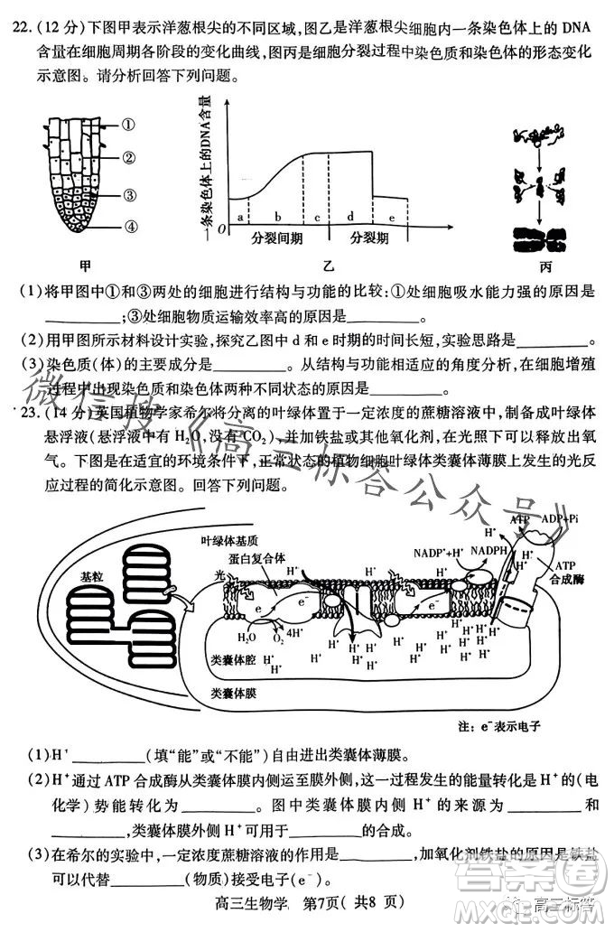 平許濟(jì)洛2023-2024學(xué)年高三第一次質(zhì)量檢測生物試卷答案
