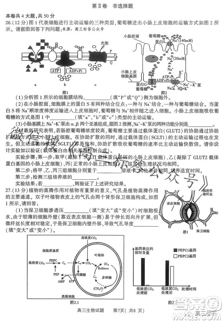 信陽(yáng)2023-2024學(xué)年普通高中高三第一次教學(xué)質(zhì)量檢測(cè)生物試卷答案