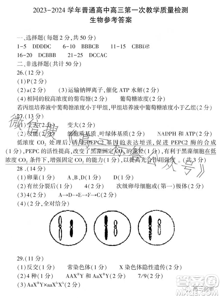 信陽(yáng)2023-2024學(xué)年普通高中高三第一次教學(xué)質(zhì)量檢測(cè)生物試卷答案