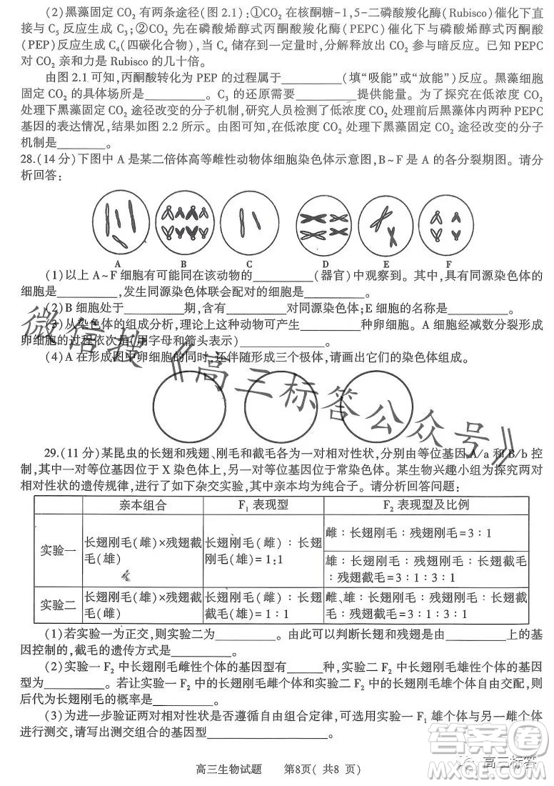 信陽(yáng)2023-2024學(xué)年普通高中高三第一次教學(xué)質(zhì)量檢測(cè)生物試卷答案