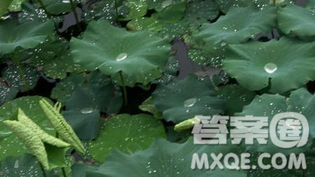 終于穿過那段___的時光記敘文作文600字 關(guān)于終于穿過那段___的時光的記敘文作文600字