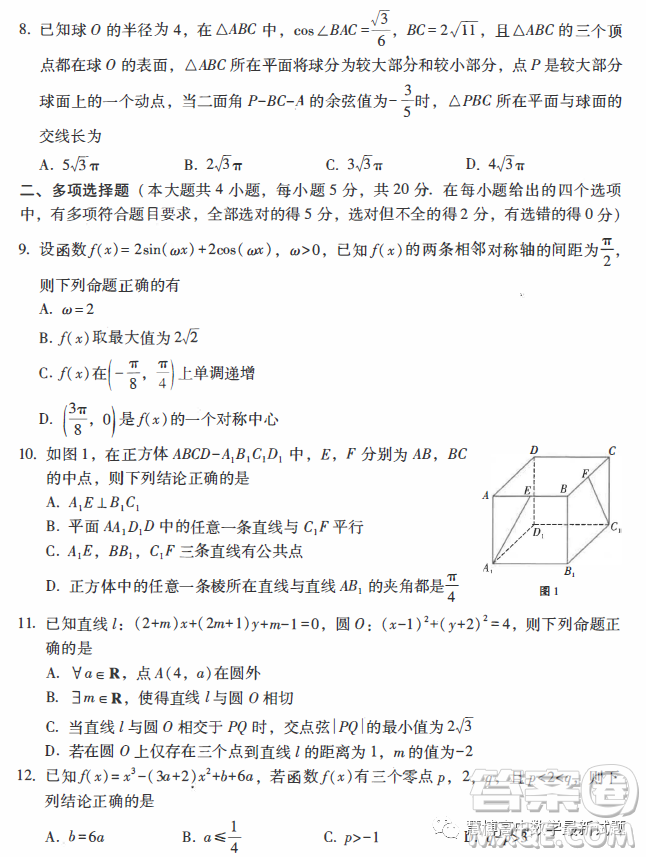云南師大附中2024屆高三上學期高考適應性月考卷四數(shù)學試題答案